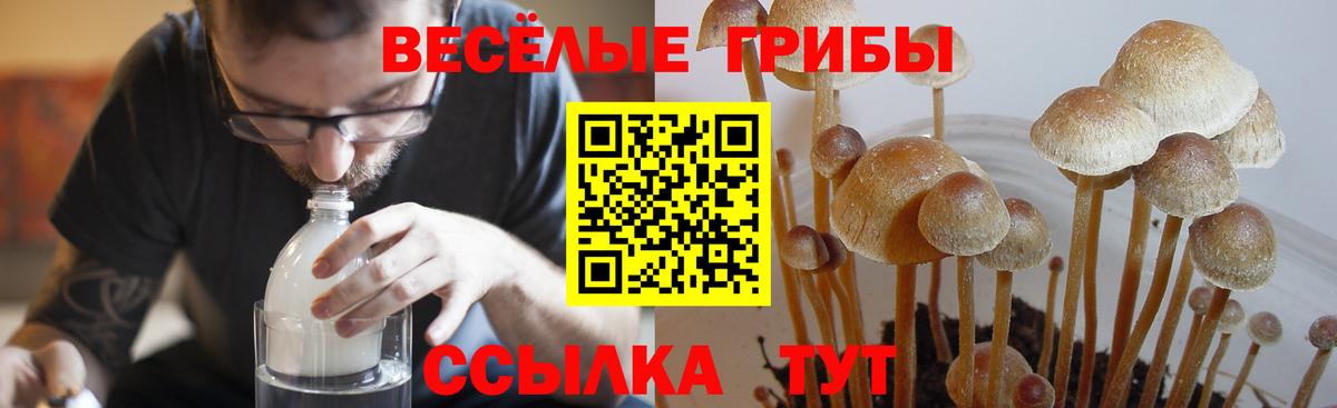 Галлюциногенные грибы ЛСД Шуя