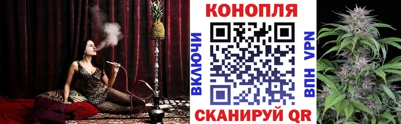 Бошки Шишки сатива  купить закладку  Шуя 